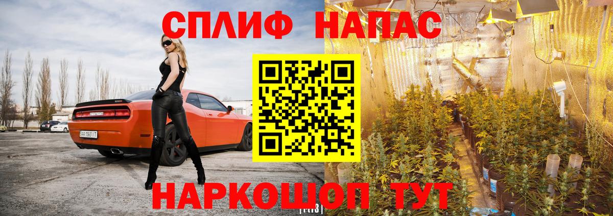 Каннабис SATIVA & INDICA  Шишки марихуана MAZAR  Марихуана Amnesia  Вход с VPN  Борисоглебск 
